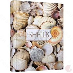 Книга А4 96л Малюнки природи Shells