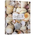 Книга А4 96л Малюнки природи Shells